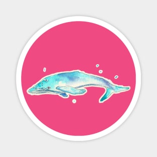 Beatrix - Watercolor Whale Magnet